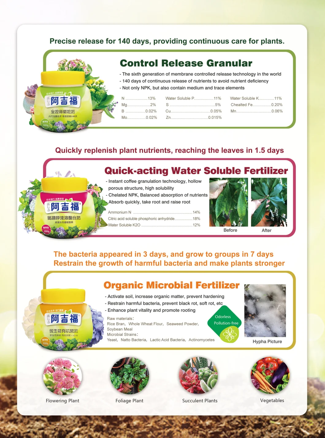 Nutrition for Plant Flower Home Gardening